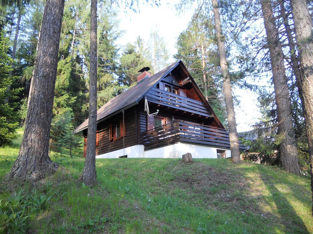 Holiday Home Gobela クランスカゴーラ 部屋 写真